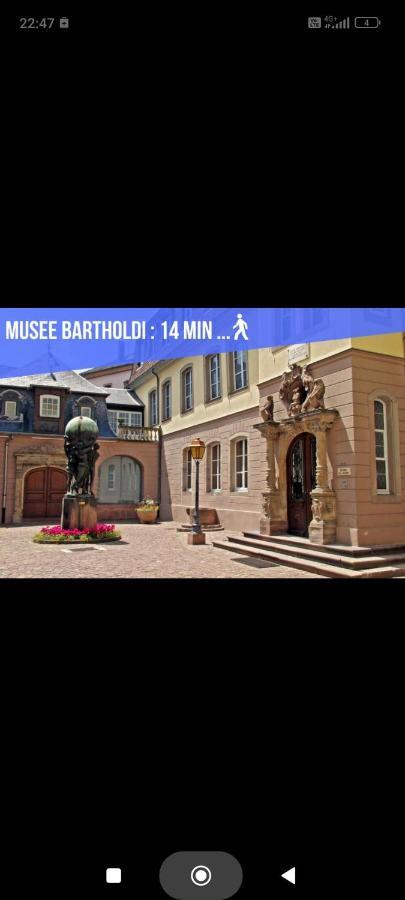 Refuge Ladhof Odysalis I Chic-Moderne-Proche Du Centre-Ville 3 Pieces 2 Chambres Colmar Eksteriør billede
